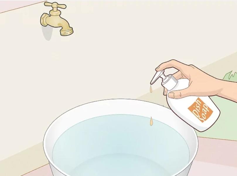 Step-by-Step Guide: How to Clean a Basketball at Home