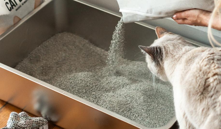 How Often to Clean Cat Litter for a Healthier Home