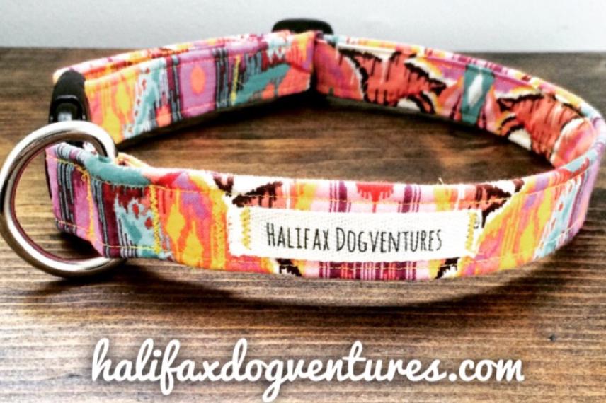 How to Make Dog Collars for Small Breeds: Essential Tips